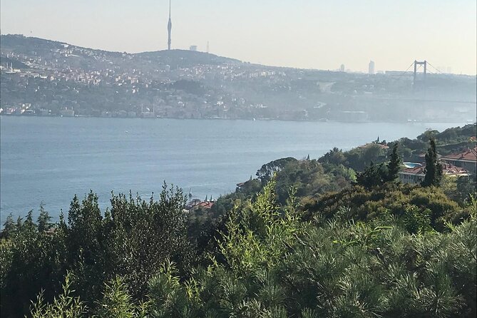 Istanbul Private Airport Transfers - Should You Book This Istanbul Private Airport Transfer?