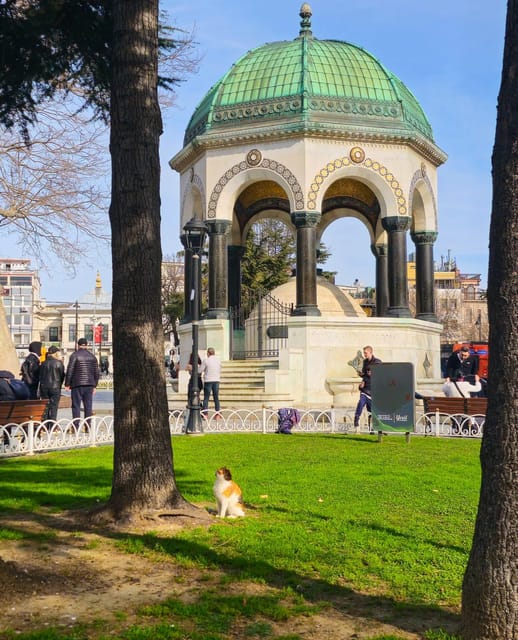 Istanbul Private City Tour By Art Historian - Grand Bazaar plus Old Town interiors: history you feel in your feet