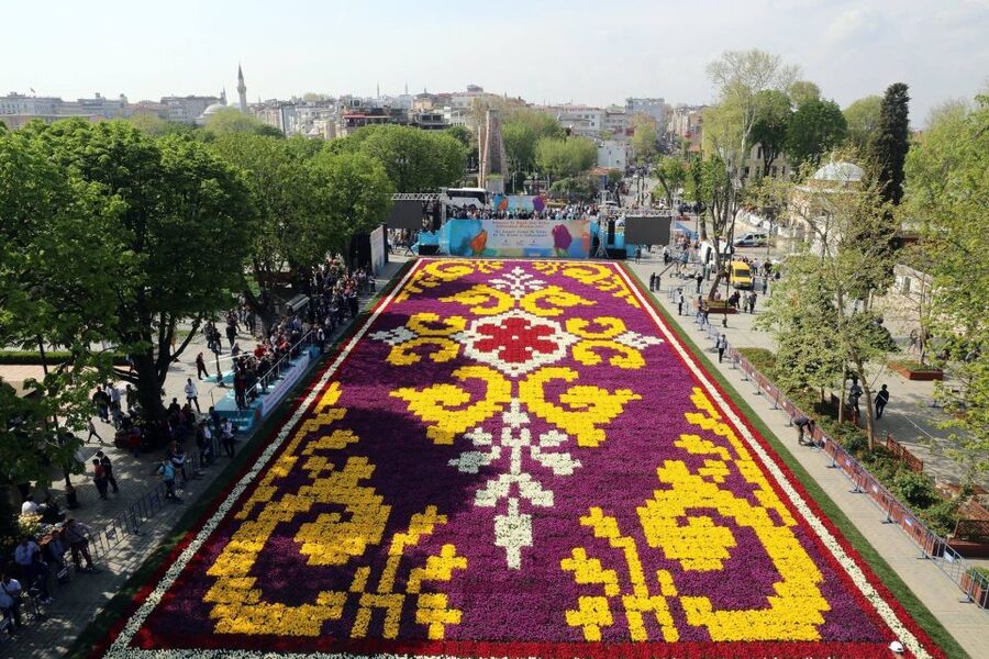 Istanbul: Private Full-Day Old City Highlights Tour - Why a private Old City day beats DIY chaos