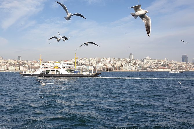 Istanbul Private Guided Tour for Layover Flight. Transfer incl. - Basilica Cistern: the underground “palace in the dark”