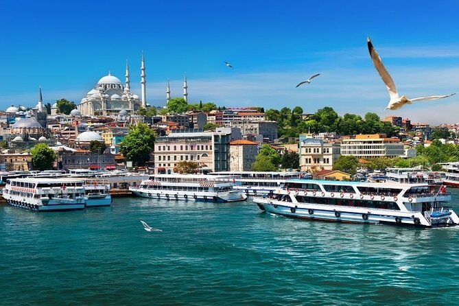 Istanbul Private Tour from Cruise Port - Basilica Cistern: Marble Columns and the Medusa Head