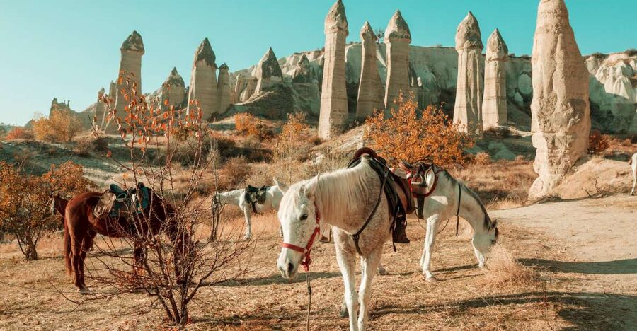Istanbul to Cappadocia All Inclusive Private Day Tour - Key highlights worth planning around