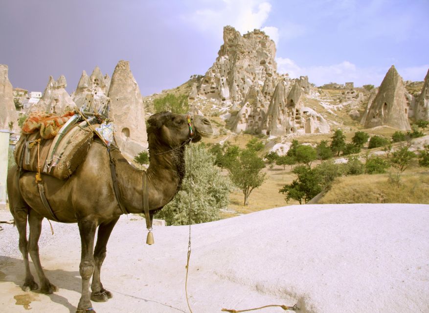 Istanbul to Cappadocia All Inclusive Private Day Tour - Göreme Open Air Museum: rock-cut churches, explained