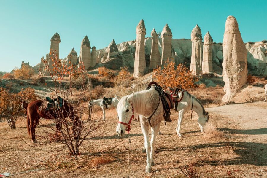 Istanbul to Cappadocia All Inclusive Private Day Tour - How the early flight and private transfers shape the day
