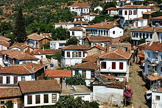 Istanbul to Ephesus Full Day Guided Tour, Flight and Lunch incl. - Temple of Artemis: short stop, strong context, good photo angles