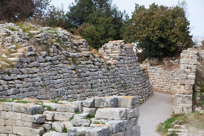 Istanbul to Truva Troy Guided Day Tour with Lunch and Transfers - What you’re really paying for: $172.57 in value terms