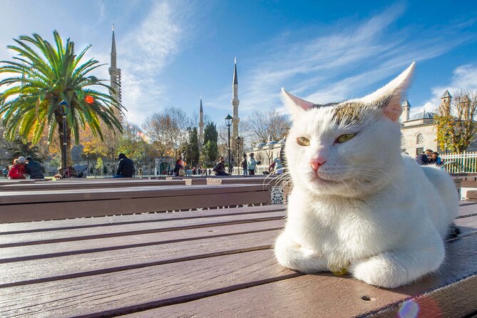 Istanbul Walking Tour with Audioguide on Your Smartphone - Gülhane Park Break: Green Space, Then Museums