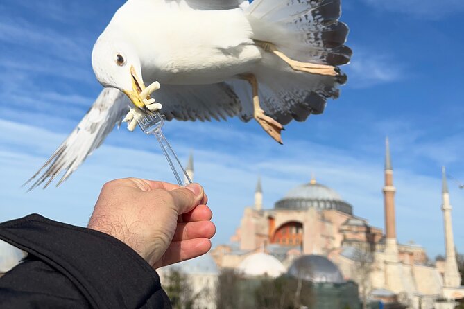 Multi 2 Days Private Guided Istanbul Iconic Landmarks City Tour - Who this tour fits best