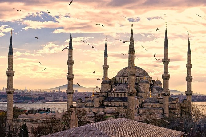 Must See in Istanbul: Private Full-Day Experience & Local Lunch - Price and Value: What You’re Paying For at $295.52