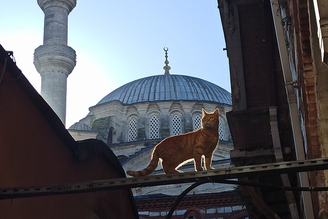Photograph the Hidden Corners of the Grand Bazaar in Istanbul - Why this Grand Bazaar photo walk works so well