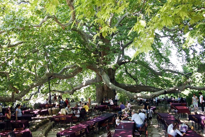 Premium Bursa and Uludag Tour - (Breakfast-Lunch Included) - Uludağ: the chair lift to about 2,543m