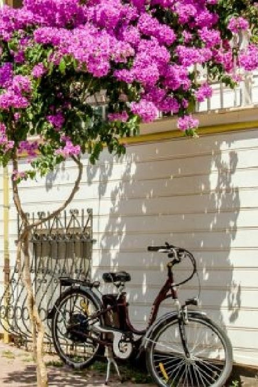 Prince's Island Group Tour - Key things to know before you go