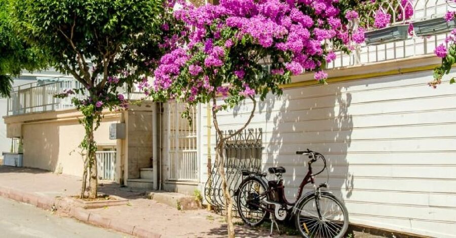 Prince's Island Group Tour - Prince’s Islands in One Day: Heybeliada First, Büyükada Second