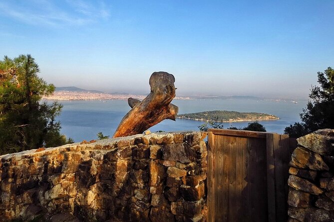 Princes Island Full Day Tour - Kabataş to the Islands: Ferry Time and On-Water Sights