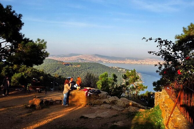 Princes Island Full Day Tour - Büyükada Exploration: Guide Walk, Lunch Option, and Beach Time