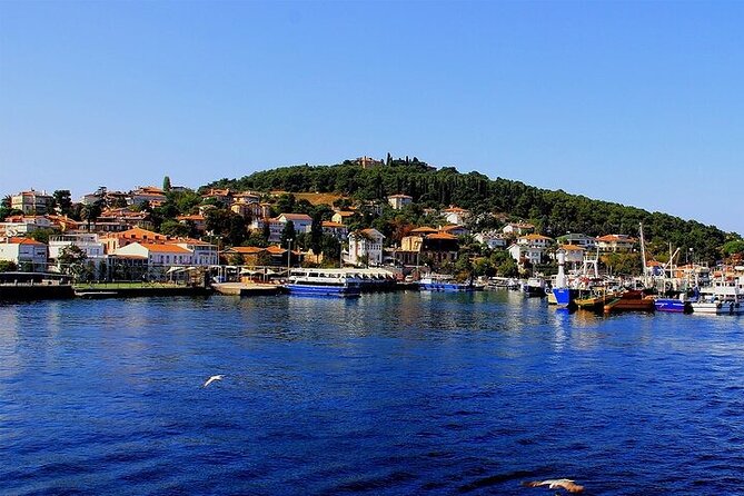 Princes Island Full Day Tour - The Return to Istanbul: Shopping Stops and Traffic Reality