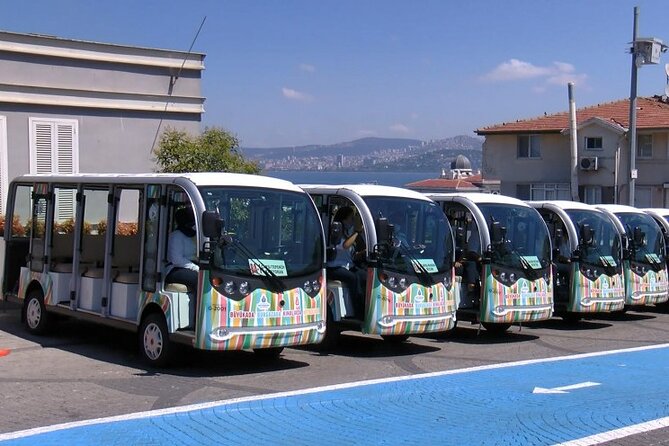Princes Island Tour From Istanbul - Istanbul return and the shopping stop on the way back