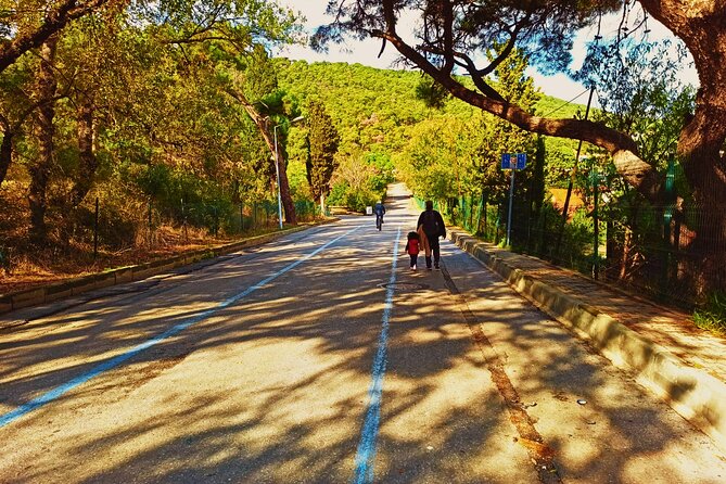 Princes' Islands ( Büyükada ) E-bike Tour - Aya Yorgi Church: The Island’s High-Point Stop (and Why It Matters)