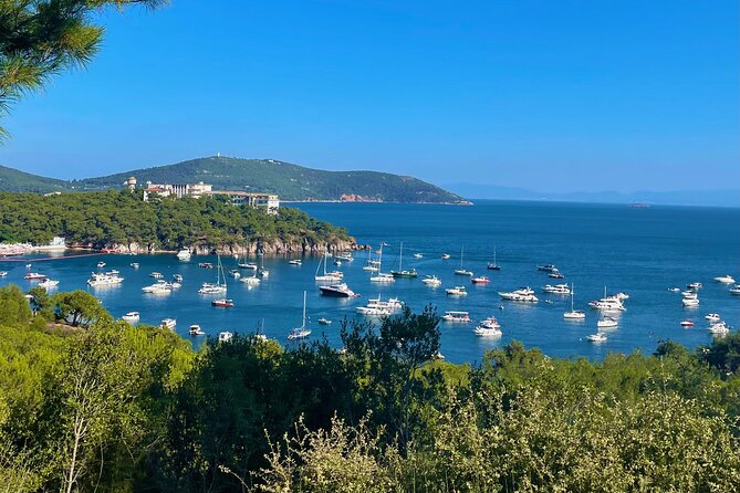 Princes' Islands ( Büyükada ) E-bike Tour - Büyükada Center: Town Vibes, Local Bites, and Browsing Time