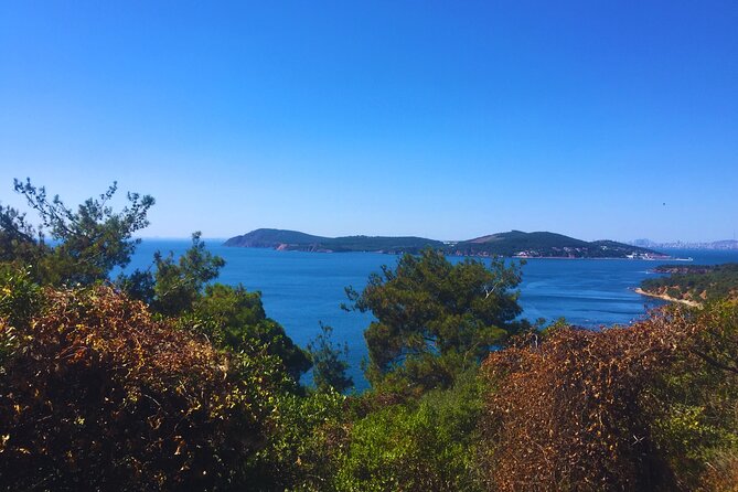 Princes' Islands ( Büyükada ) E-bike Tour - Guides Make It Personal: Ege, Kaan, and Onur’s Different Styles