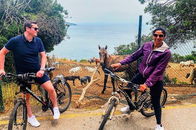 Princes' Islands ( Büyükada ) E-bike Tour - Pace and “How Much Riding” You Should Expect