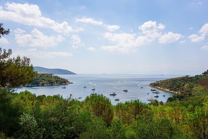 Princes' Islands Cruise with Lunch and Transfer Full-Day Tour - Kınalıada stop: a short guided walk plus onboard buffet lunch