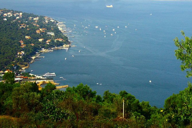Princes' Islands Tour from Istanbul - Crossing to the Princes Islands by boat from Istanbul