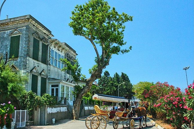 Princes' Islands Tour from Istanbul - Büyükada Tabiat Parkı: your first island stop and what to do with two hours