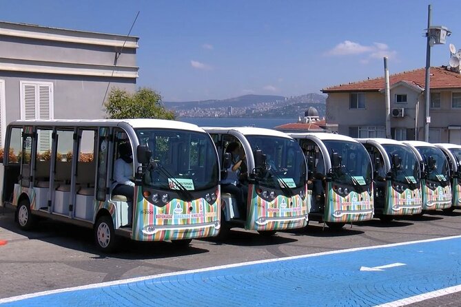 Princes Islands Tour WITH Private Boat, optional Pickup & Lunch - Istanbul to the Princes’ Islands: what this day feels like