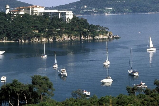 Princes Islands Tour WITH Private Boat, optional Pickup & Lunch - Burgazada and Heybeliada: scenery on the route, not a full-day commitment