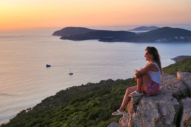 Princess Island Tour Full Day - Büyükada’s Mansions and Electric Car Ride: Where the Day Slows Down