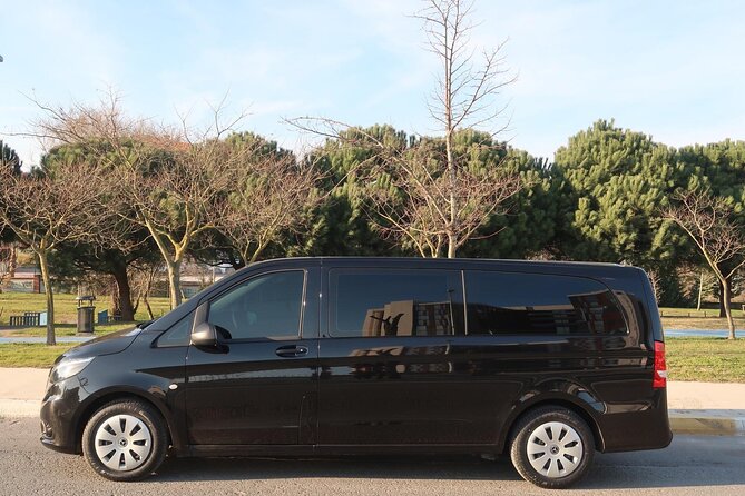Private Airport Transfer in Istanbul - Who should book this Istanbul airport transfer