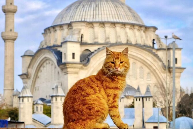 Private Cultural Tour of Istanbul: 1 or 2-Day Tailored Experience - Key things I’d bet on before you book
