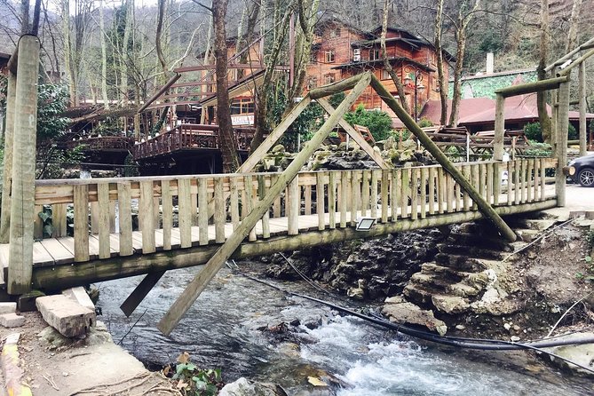 Private Day Trip From Istanbul to Lake Sapanca and Maşukiye Village - Why this Istanbul to Sapanca day feels like a real reset