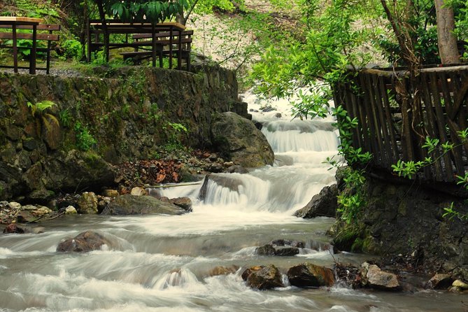 Private Day Trip From Istanbul to Lake Sapanca and Maşukiye Village - Kartepe ski resort and the cable car: views that depend on weather