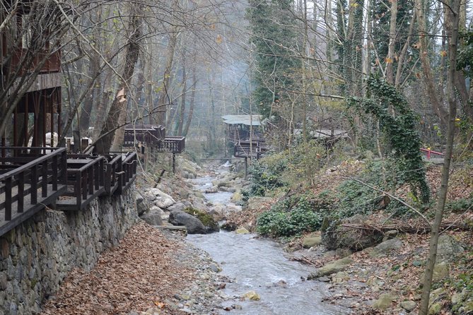 Private Day Trip From Istanbul to Lake Sapanca and Maşukiye Village - Driver and guide style: English-speaking, local, and not a formal tour guide