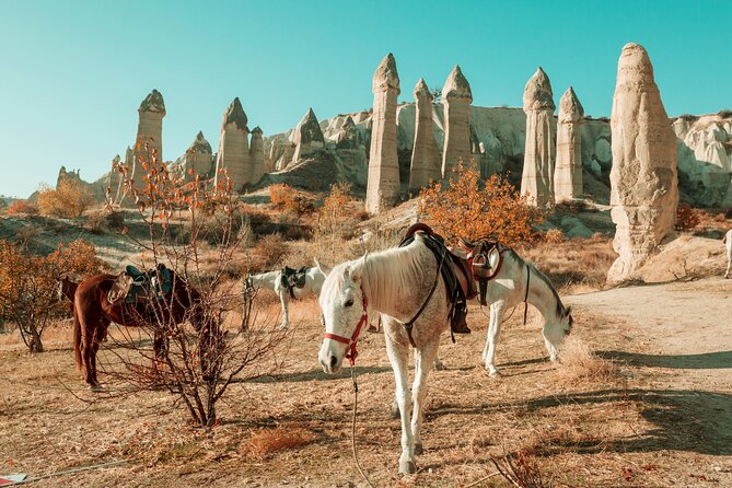 Private Day Trip to Cappadocia from Istanbul - The 4:30am Wake-Up Call: Getting to the Airport Smoothly