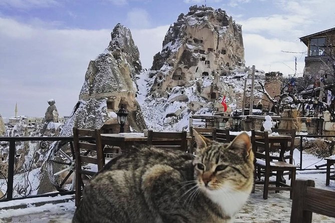 Private Day Trip to Cappadocia from Istanbul - Pigeon Valley and Devrent Valley: Quick Stops, Good Payoffs
