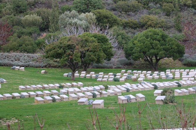 Private Gallipoli Full-Day Trip from Istanbul - What the private setup means for your day