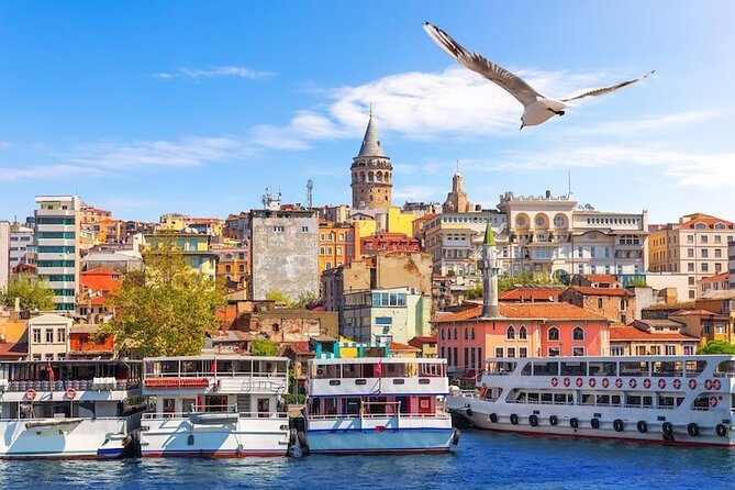 Private Guided Best of Istanbul Tour 1,2 or 3 Days - Pickup, Meeting Point, and How You’ll Get Around the City