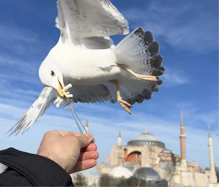 Private Guided Istanbul Luxury Tour (Tickets and Transfers) - Quick hits: what makes this tour feel VIP