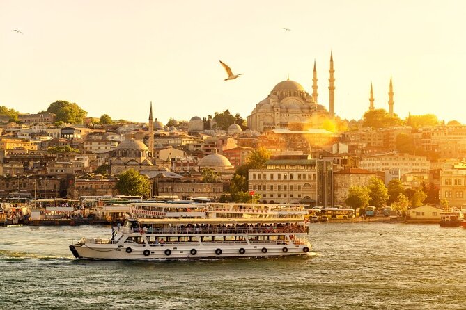 Private Guided Tour Istanbul from Cruise Ship or Hotel - Bosphorus, Dolmabahce, and Galata: views and photo breaks