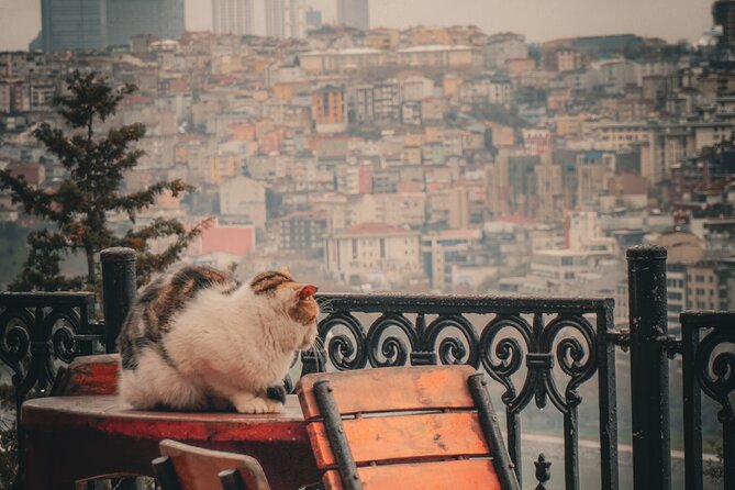Private Istanbul Highlights Tour: 1, 2, or 3-Day Options - Day 1 in Sultanahmet: Hippodrome to the Grand Bazaar in a clear arc
