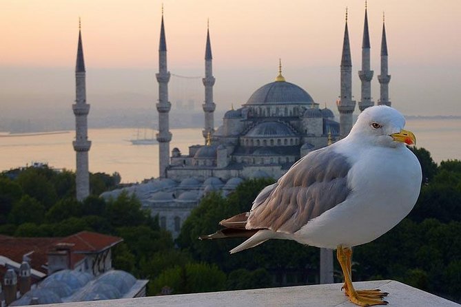 Private Istanbul Layover Tour From Airport - Sultanahmet First: Hippodrome, Squares, and a Way to Orient Fast