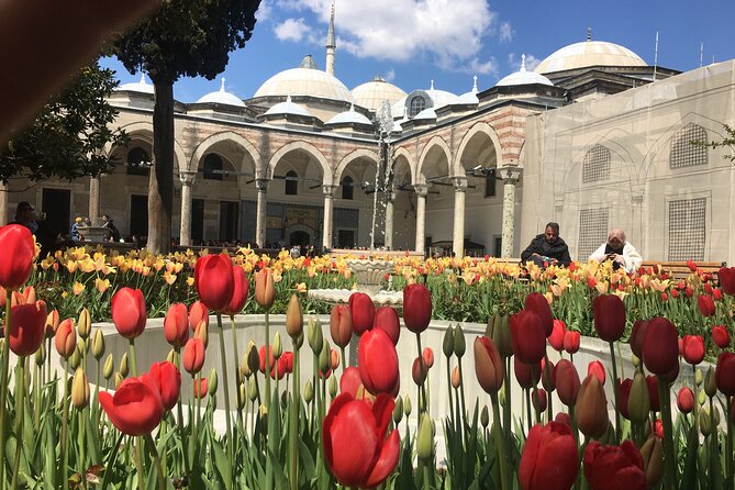 Private Istanbul Old City Walking Tour - Price and Value: What Your $90.12 Buys