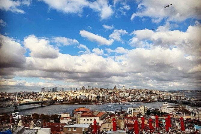 Prıvate Istanbul Tour by Luxury Minivan and Licensed Guide - Kız Kulesi and Bosphorus tea: a classic pause by the water