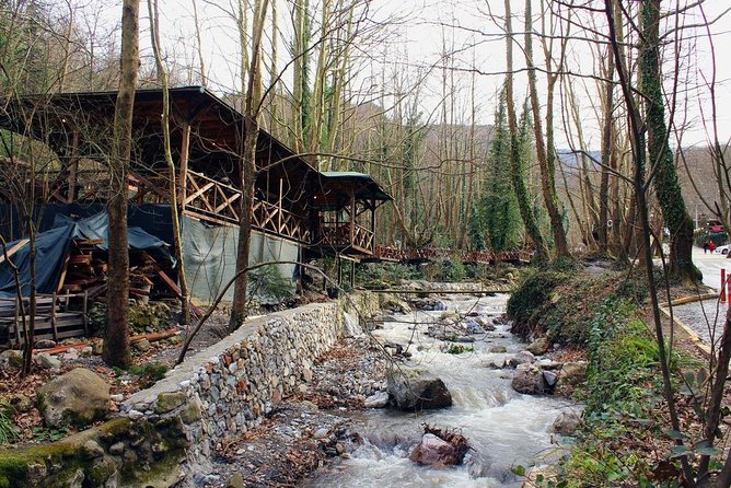 Sapanca And Masukiye Tour With Lunch - Full Day - Riversde Lunch: The Midday Reset You’ll Appreciate