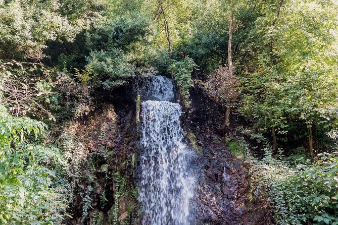 Sapanca And Masukiye Tour With Lunch - Full Day - Price and Value Compared to DIY