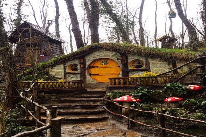 Sapanca Full Day Tour with Lunch - Sakarya city time: a change of pace before the factory tasting