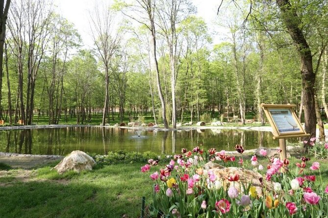 Sapanca Lake and Masukiye Tour from Istanbul - Sapanca Lake: your nature breathing break